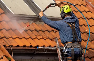 Démoussage et hydrofuge de toiture à Baguer-Pican